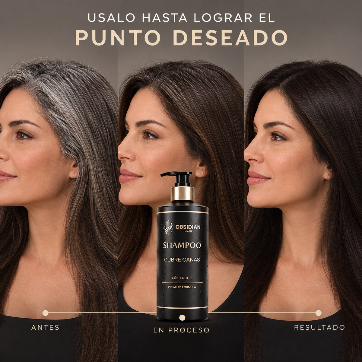 OBSIDIAN | SHAMPOO CUBRE CANAS
