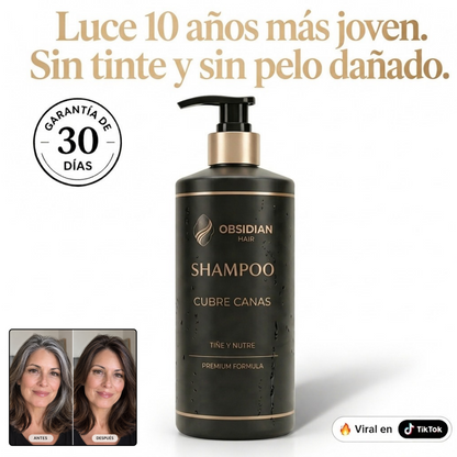 OBSIDIAN | SHAMPOO CUBRE CANAS