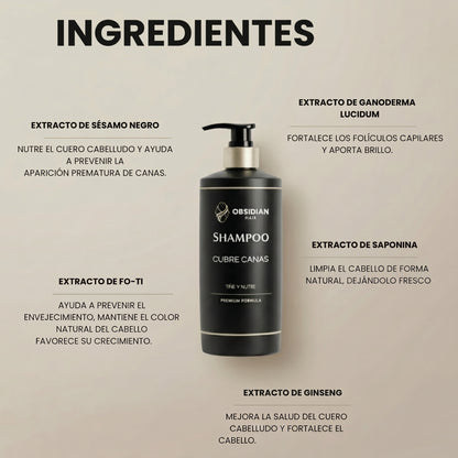 OBSIDIAN | SHAMPOO CUBRE CANAS INSTANTANEO